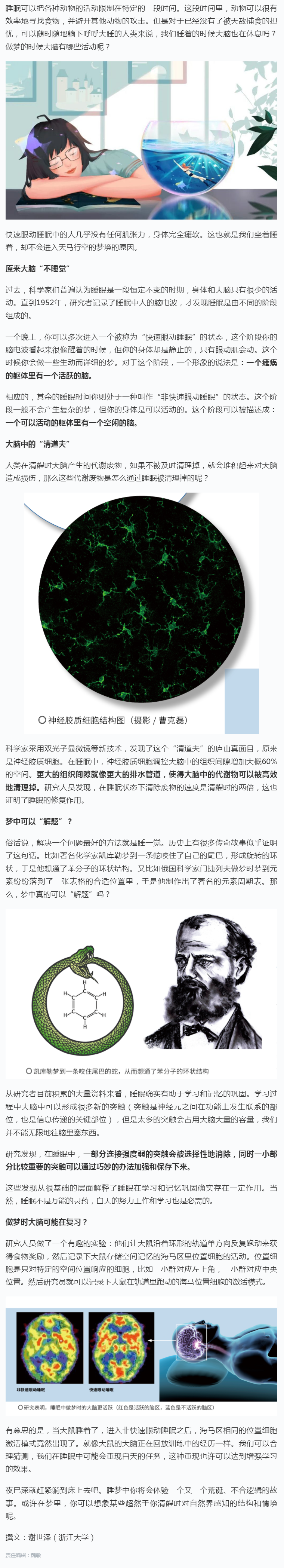 每日科普_原来大脑“不睡觉”！你睡着时，它在干嘛？.png